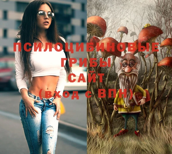 mdpv Арсеньев