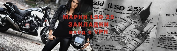 прущие крисы Аркадак