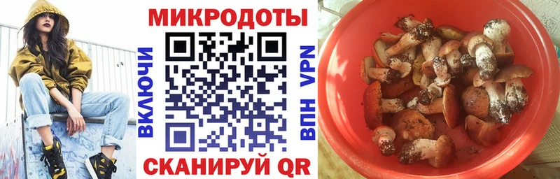Галлюциногенные грибы GOLDEN TEACHER  Урень 